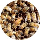 태봉농장 이미지