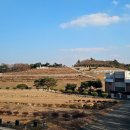 웅양공설공원묘지 | [공지] 공설묘지가 이렇게 깨끗할 수 있나요? 당진대호지공설묘지 방문 후기와 성묘 팁