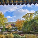 대구 팔공산 도림사 템플스테이 후기