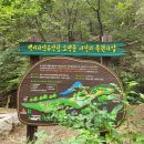 백야자연휴양림 이미지