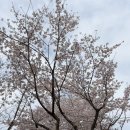 [학습교실] 조경기능사 자격취득 과정(필기/실기) | 2026 컴퓨터그래픽기능사 필기 합격 후기