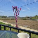 창화농장 이미지