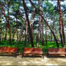 솔밭근린공원 이미지