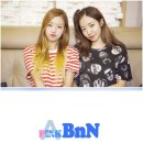 비엔엔(BNN) 이미지