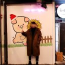 돈바라기 이미지