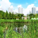 노작호수공원 이미지