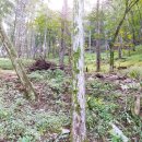 안녕하세요365 이미지