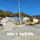 운대1리 티스토리