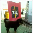 대화카센타 이미지