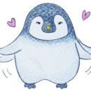 까사338(Casa338) 이미지