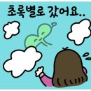 소소정원