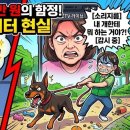 나비펫 | 요양보호사 때려치우고 시급 3만 원 '펫시터' 갔다가 맘충 견주에게 영혼 털린 사연