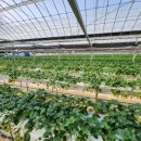 실로암 3농장 이미지