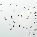 동림농장 이미지