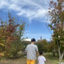 빛나키즈랜드2 이미지