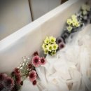 예쓰요양병원 이미지