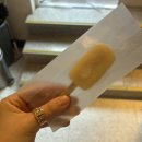 센텀동로9 | 부산 센텀 스포독 후기 🐶 루프탑 애견운동장 완전 정복❤️❤️❤️