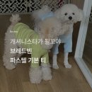 브레드빈 이미지