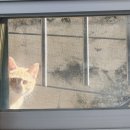 이디야대교동점 이미지