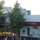 황태자양복점 이미지