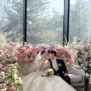 라비에벨 이미지