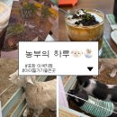 감성도자기만들기 | [경북 포항 카페 추천] 아이들과 자연 속에서 힐링하기 좋은 ‘농부의 하루’ 솔직 후기