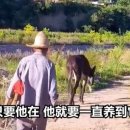 “평생 일했는데 어떻게 팔아”…38살 당나귀와 78세 노인 눈물나는 우정 이미지