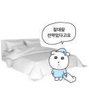 (주)엠시비이 | 아이엠고잉...
