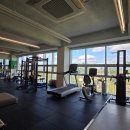 루트핏(ROOT FIT) | 보람동 헬스장 이루트핏 PT 추천 후기