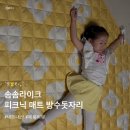 솜솜라이크 피크닉매트 프리미엄 블루밍옐로우 방수돗자리 내돈내산