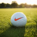 생활체육공원 인조구장B구장 | ⚽ 축구공 추천 BEST 3