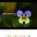 특이한 광고기획 이미지