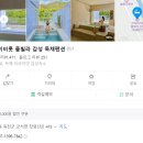 스테이비롯풀빌라 감성독채 펜션 이미지