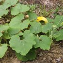 꿈꾸는 계곡 펜션 이미지