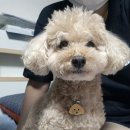 항구가누리펜션 | 작은 항구 마을 여행기