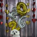 다원하개 이미지