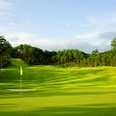 샌드파인 골프클럽 이미지