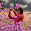 삼화목장 이미지