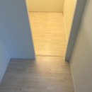 포레스트51