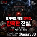 묵호 여행 먹거리 추천! 묵호 버스 터미널 근처 보라분식 방문 후기