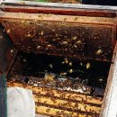 동춘농장 이미지