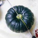 뿌리농장 이미지