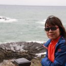 양남주상절리 이미지