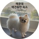 우성돈까스신도시점 | 부산 해운대 애견동반 오션뷰 숙소 가성비에 접근성까지