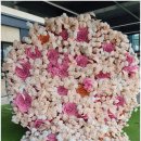 곡성-162 이미지