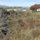 거창목장 이미지