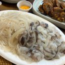 진양회수산 | 강릉 진양수산 오징어회 지금이 제철 주문 꿀팁
