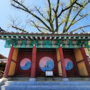노후사 | 충북 5월여행 영동 가볼만한곳 조선시대 교육시설 영동향교