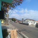 세화상회 이미지