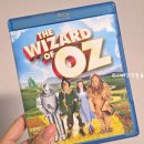 오즈(OZ)노래연습장 | (전주) 스텔라콜 내한공연 보고왔습니다!(공연 후기, 스텔라콜의 TMI, 셋리스트 등)